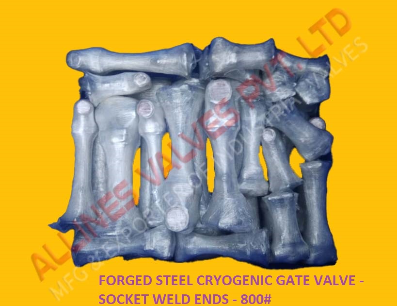 PTFE LINED Y-GLOBE VALVE